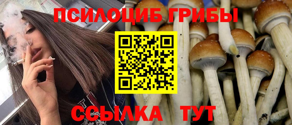 Псилоцибиновые грибы Magic Shrooms Добрянка