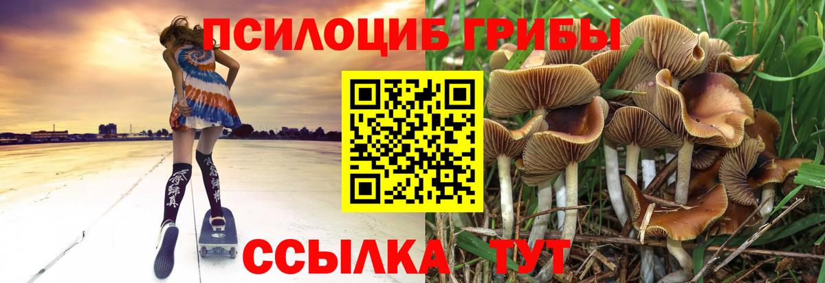 Галлюциногенные грибы прущие грибы  Вход с VPN  Добрянка 